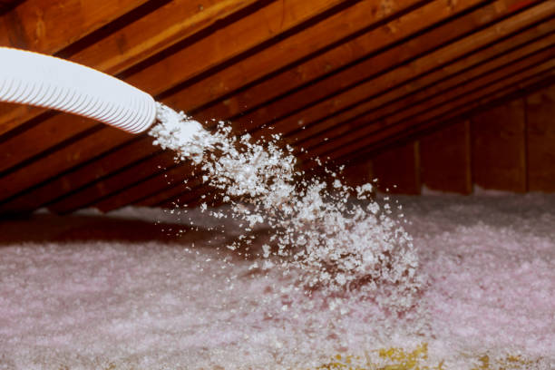 Best Insulation Repair Services  in South Corning, NY