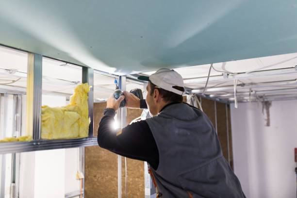Best Crawl Space Insulation  in South Corning, NY