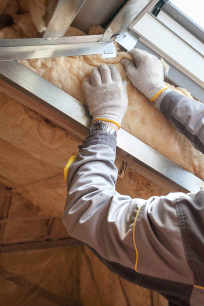 Insulation Inspection Services in South Corning, NY